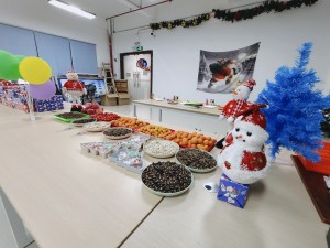 “多国风采、别具风格”的的圣诞节活动